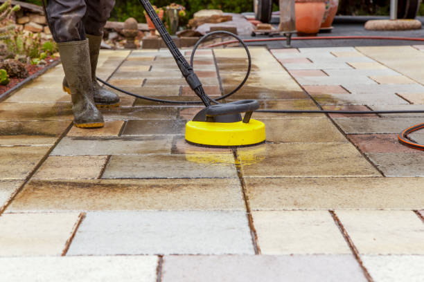 Best Dumpster Area Cleaning  in Shenandoah Junction, WV
