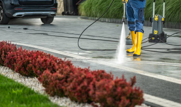 Best Roof Washing  in Shenandoah Junction, WV